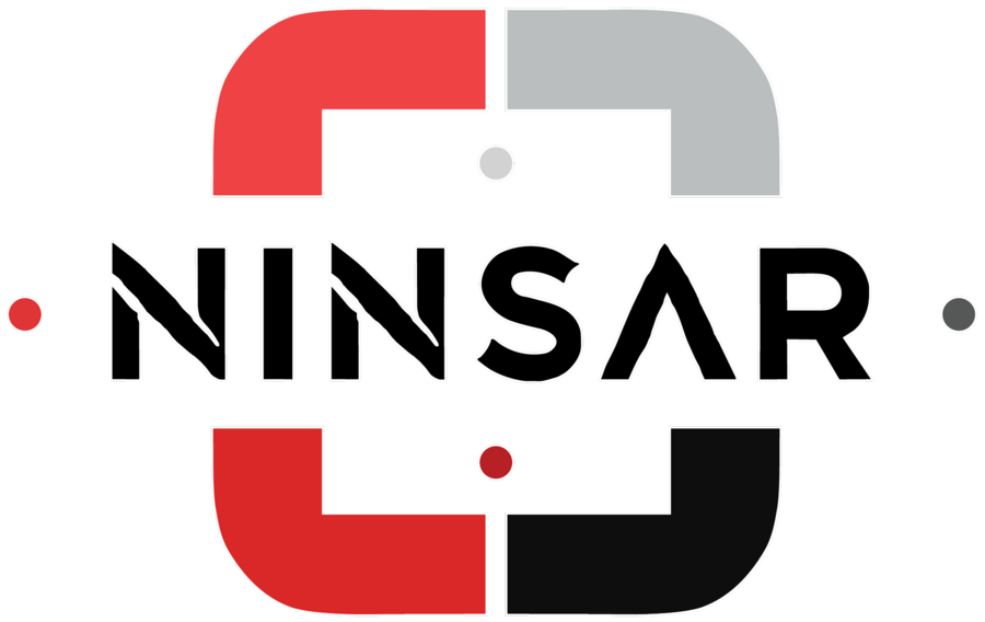 Ninsar